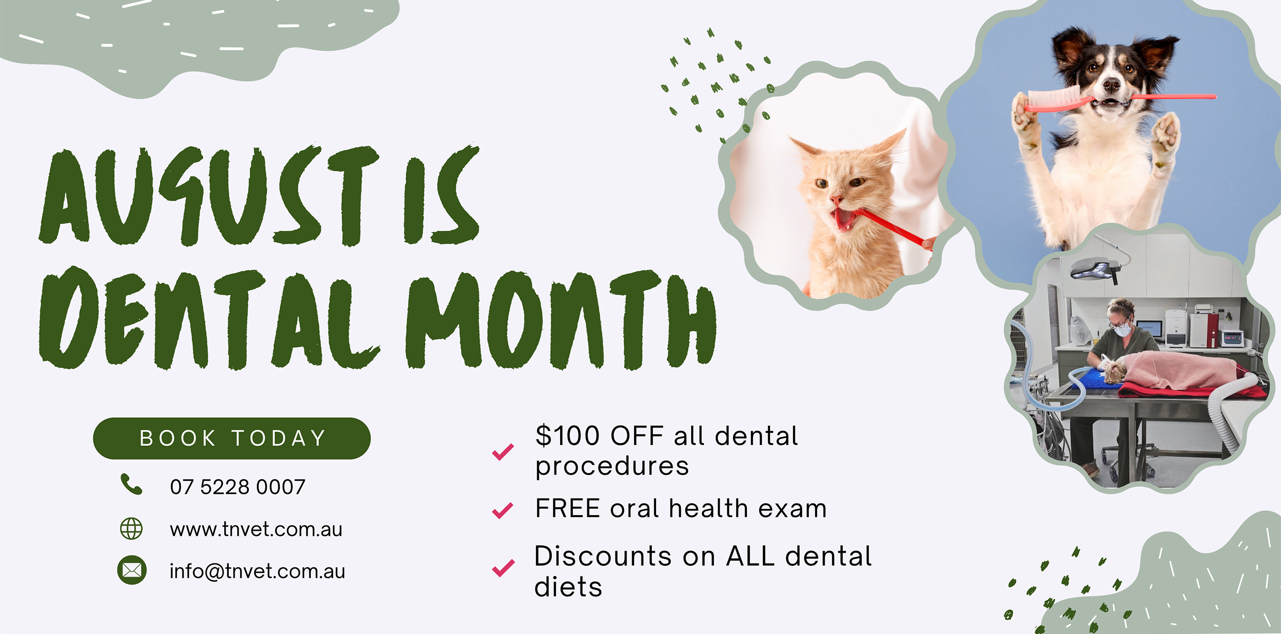The Neighbourhood Vet Tewantin - Dental Month August 2025 mob The Neighbourhood Vet Tewantin - Dental Month August 2025