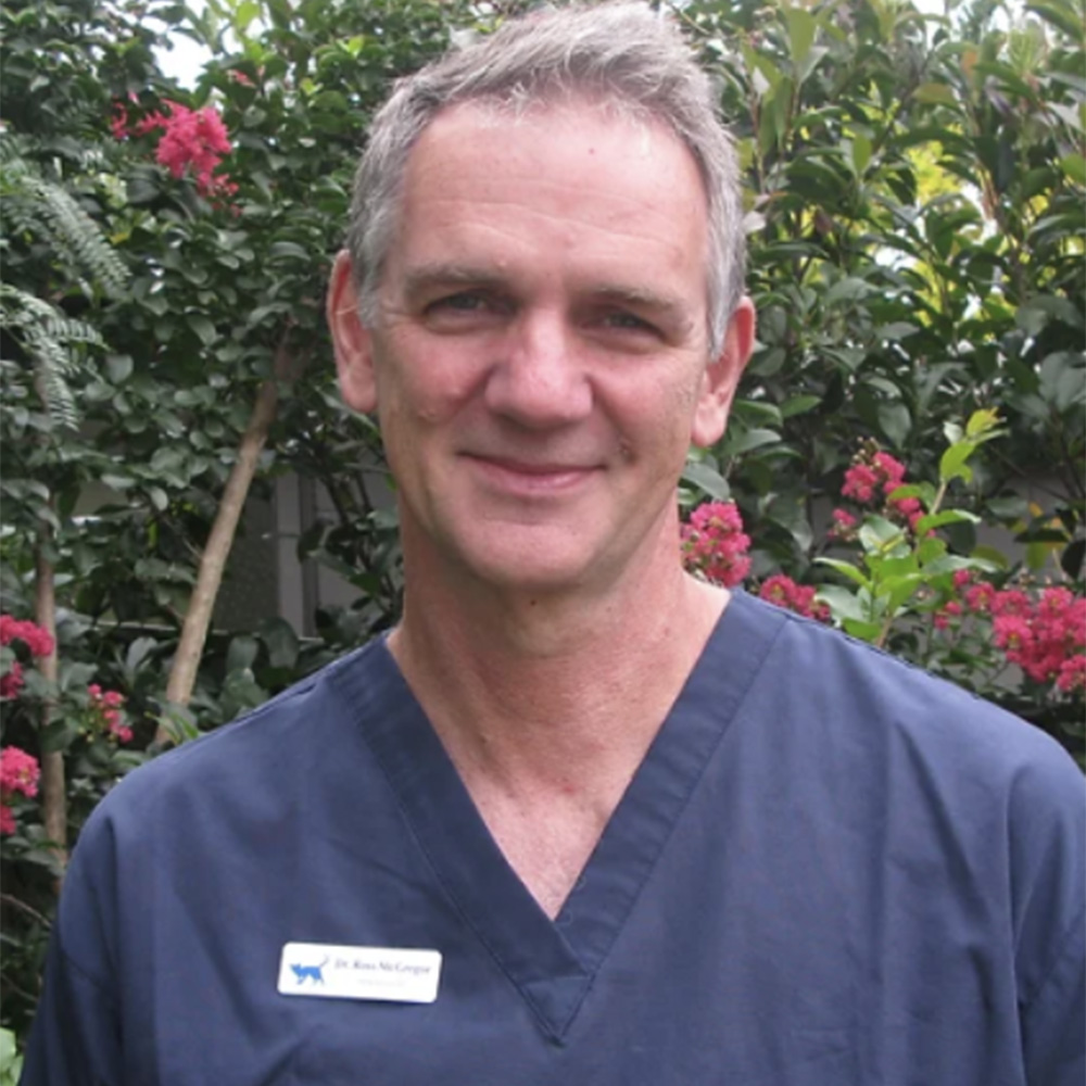 Meet The Team - Dr Ross McGregor